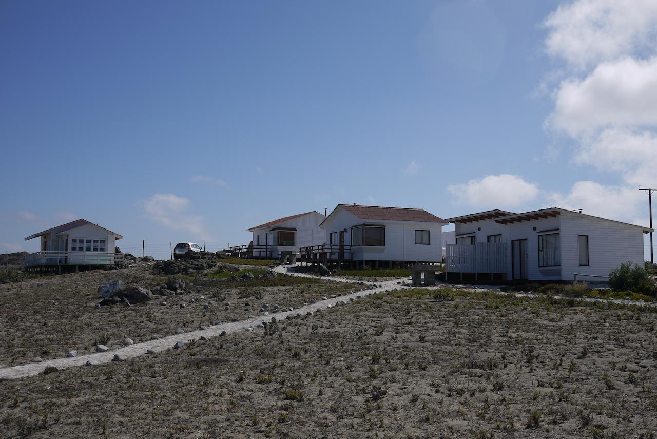 Las Hualas Punta de Choros Bagian luar foto