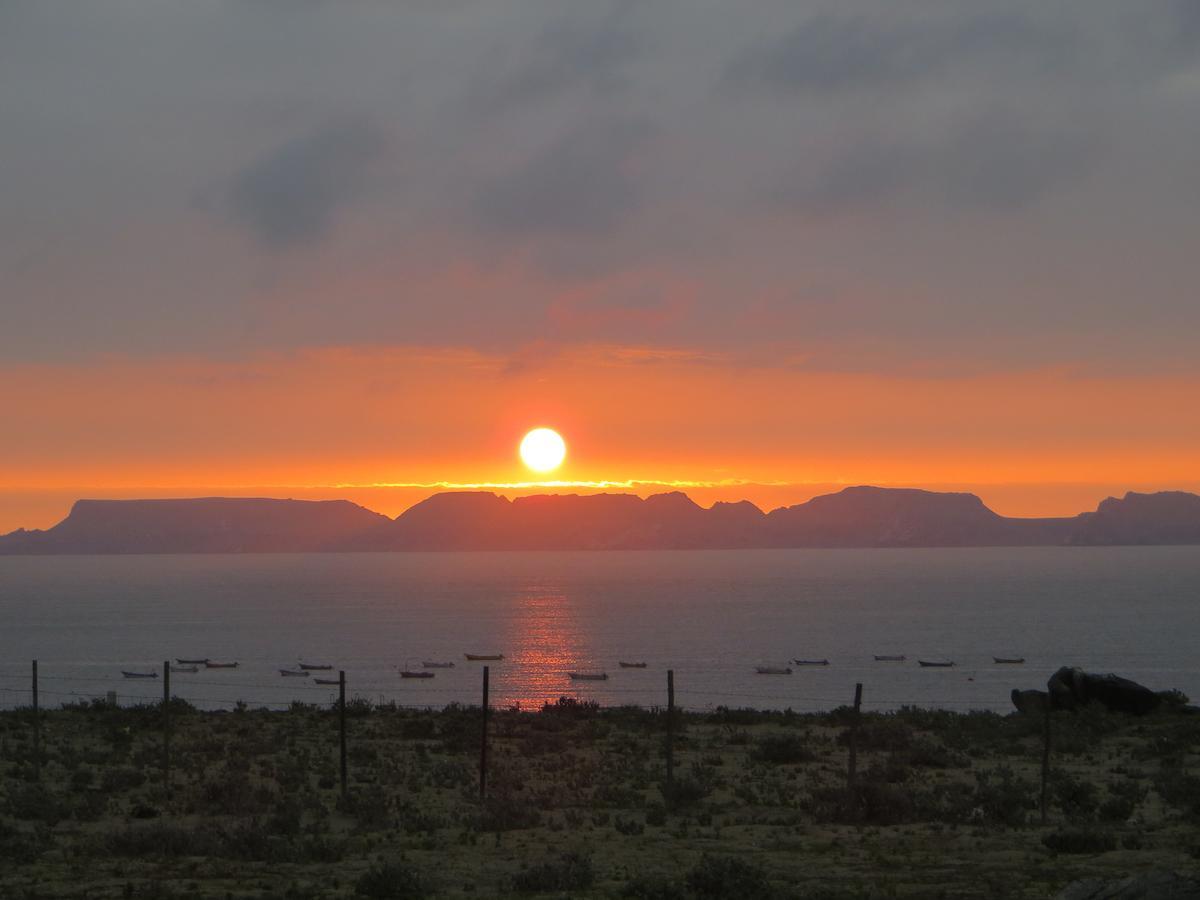 Las Hualas Punta de Choros Bagian luar foto