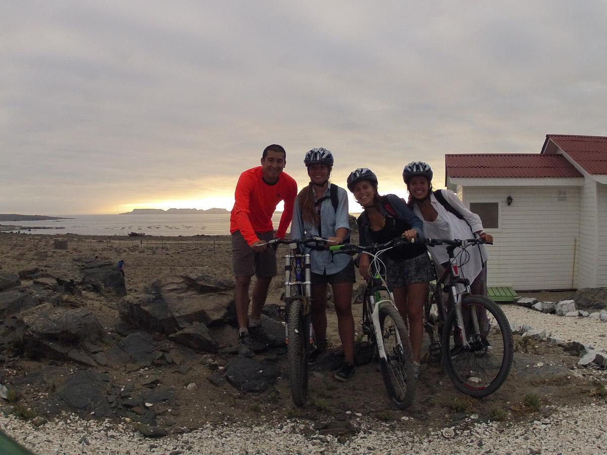 Las Hualas Punta de Choros Bagian luar foto