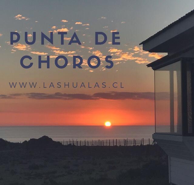 Las Hualas Punta de Choros Bagian luar foto