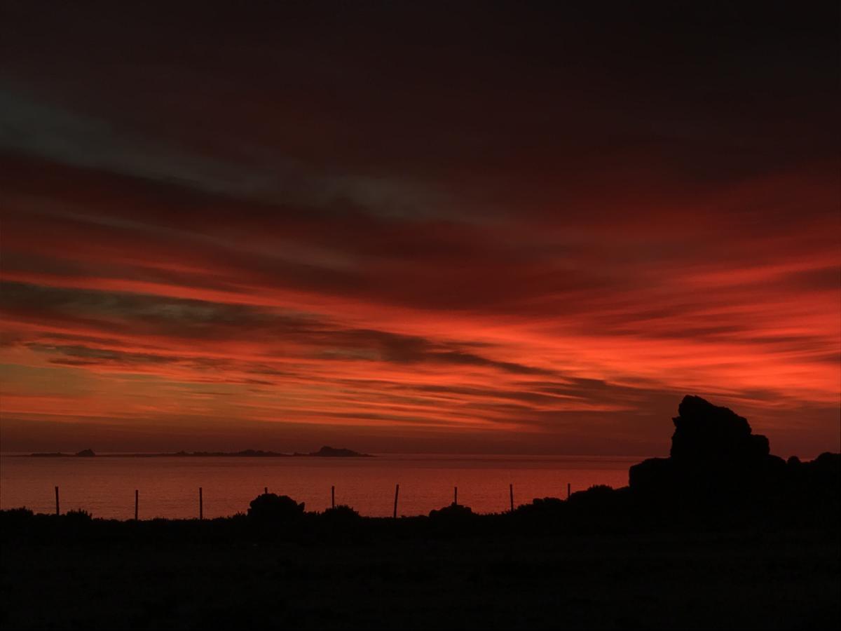 Las Hualas Punta de Choros Bagian luar foto
