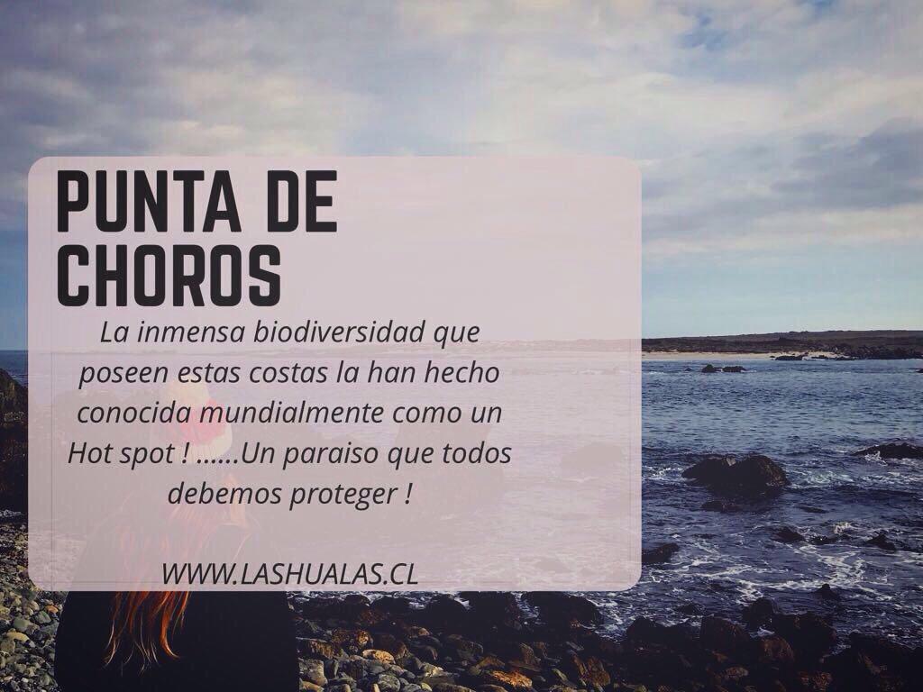 Las Hualas Punta de Choros Bagian luar foto