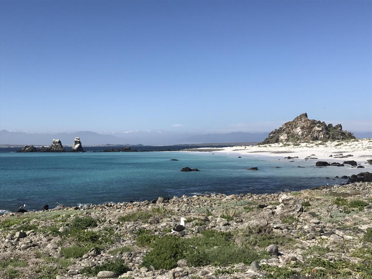 Las Hualas Punta de Choros Bagian luar foto