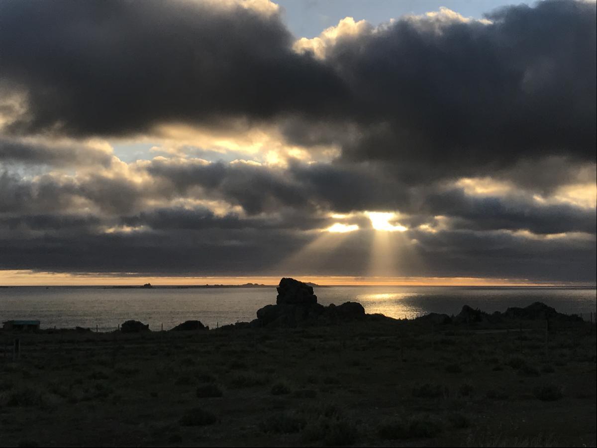 Las Hualas Punta de Choros Bagian luar foto