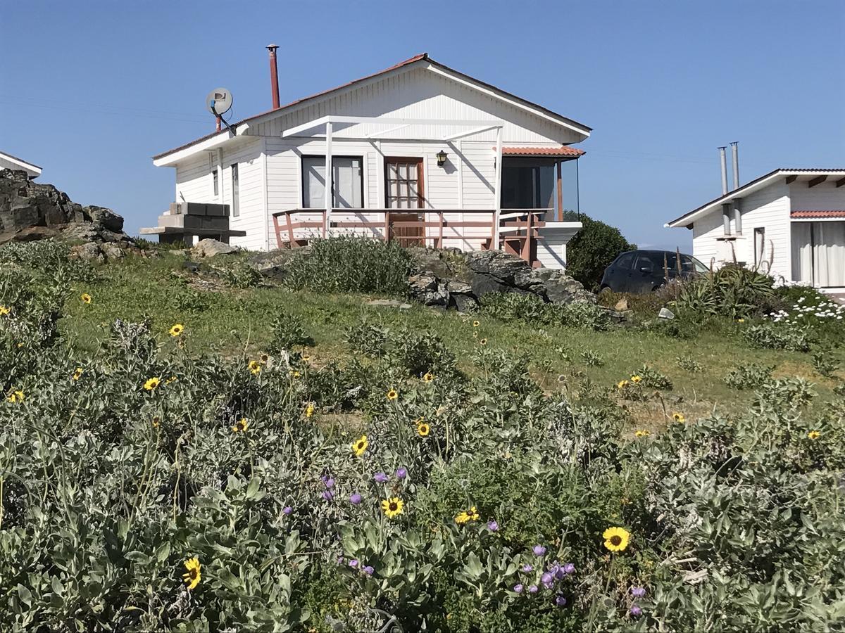 Las Hualas Punta de Choros Bagian luar foto